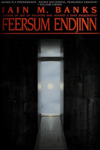 Cover image for Feersum endjinn