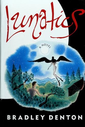 Cover image for Lunatics
