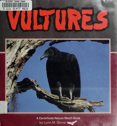 Cover image for Vultures