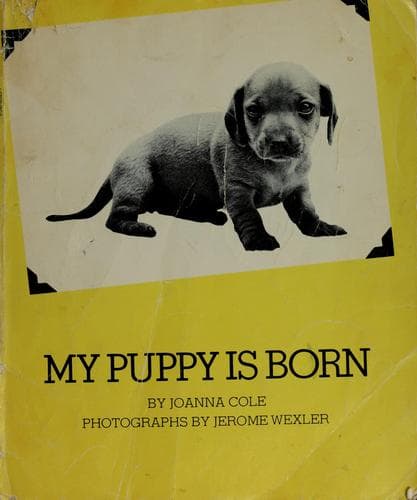 Cover image for My puppy is born