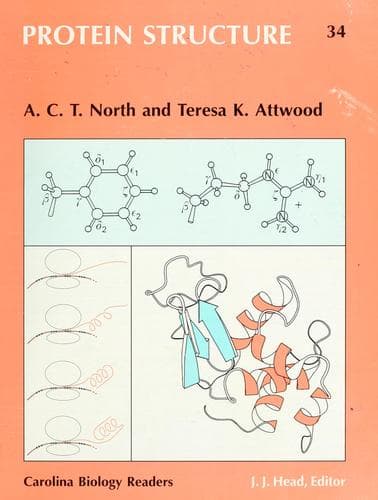 Cover image for Protein Structure (Carolina Biology Reader, No 34)