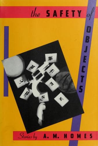 Cover image for The safety of objects