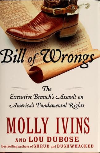 Cover image for Bill of Wrongs