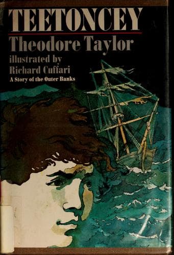 Cover image for Teetoncey.