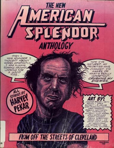 Cover image for The new American splendor anthology