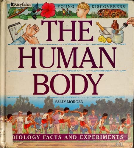 Cover image for The human body