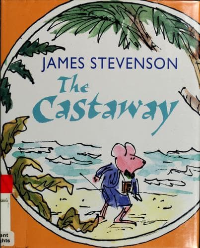 Cover image for The castaway