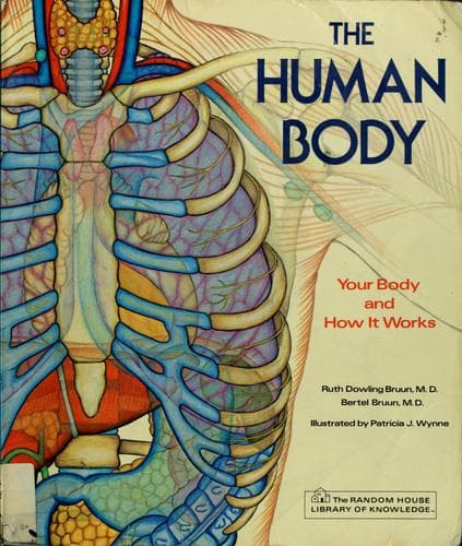 Cover image for The human body
