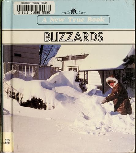 Cover image for Blizzards