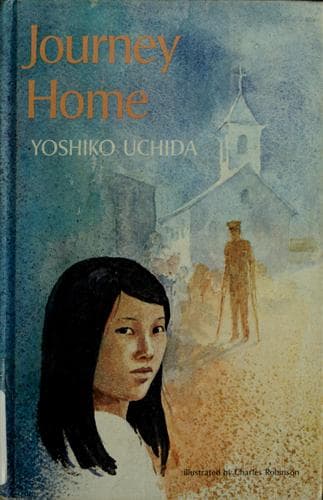 Cover image for Journey home