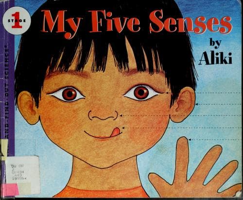 Cover image for My five senses