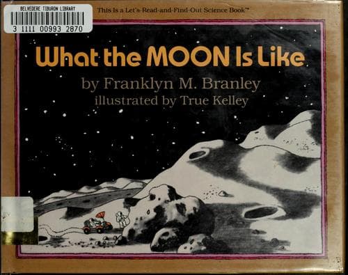 Cover image for What the moon is like