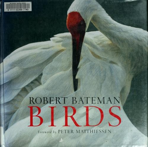 Cover image for Birds