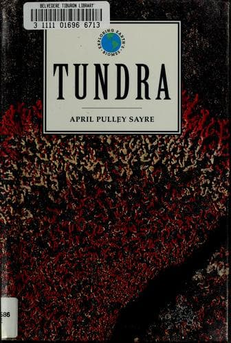 Cover image for Tundra