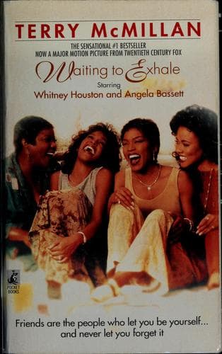 Cover image for Waiting to exhale