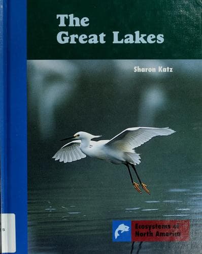 Cover image for The Great Lakes