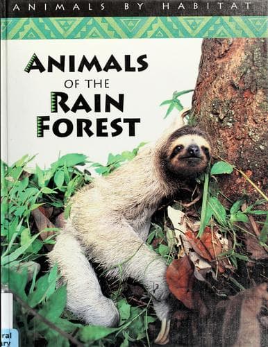Cover image for Animals of the rain forest