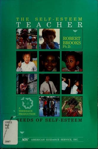 Cover image for The self-esteem teacher