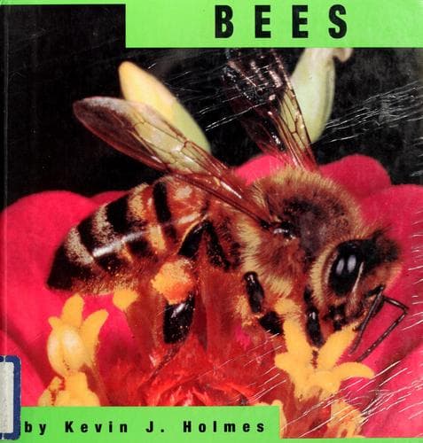 Cover image for Bees