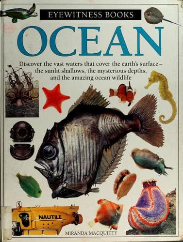 Cover image for Ocean