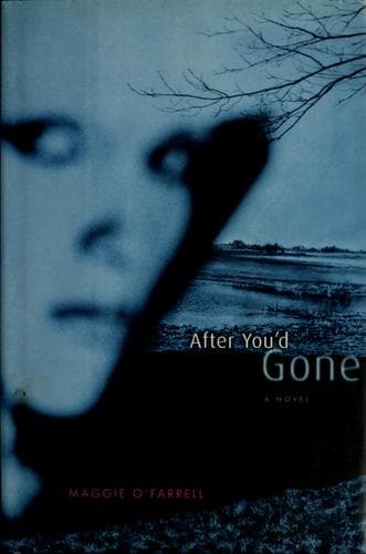 Cover image for After you'd gone