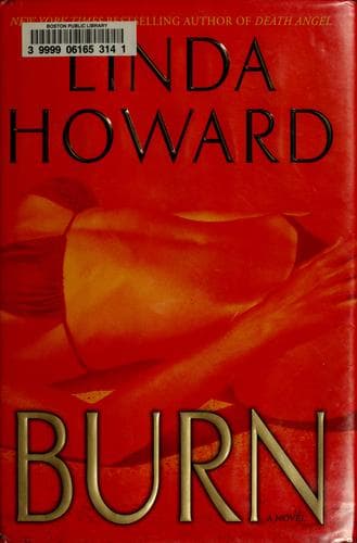 Cover image for Burn