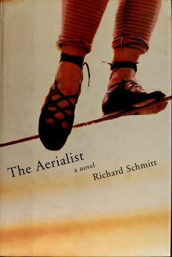 Cover image for The aerialist