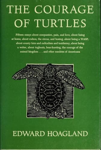 Cover image for The courage of turtles