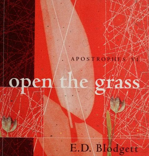 Cover image for Apostrophes VI