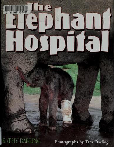 Cover image for Elephant Hospital