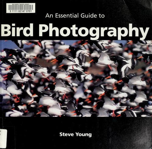 Cover image for An Essential Guide to Bird Photography