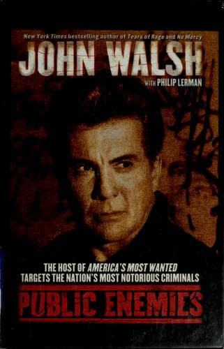 Cover image for Public Enemies