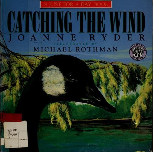 Cover image for Catching the Wind (A Just for a Day Book)