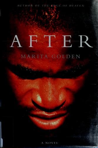 Cover image for After : a novel