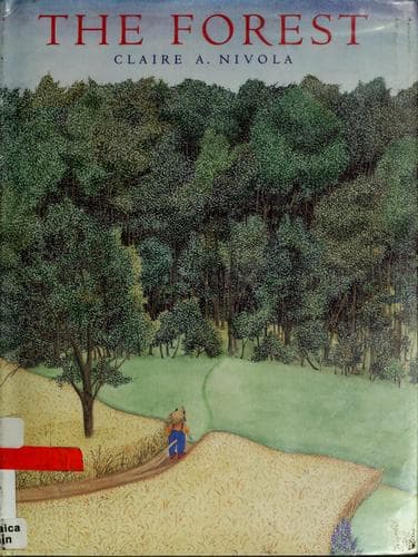 Cover image for The forest