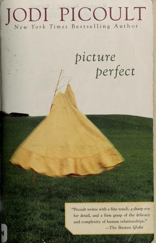 Cover image for Picture perfect