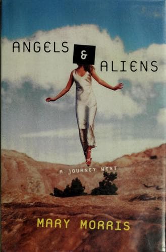 Cover image for Angels & aliens