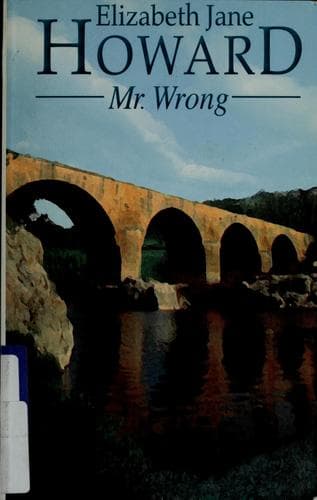 Cover image for Mr. Wrong