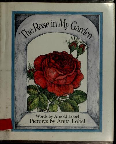 Cover image for The rose in my garden