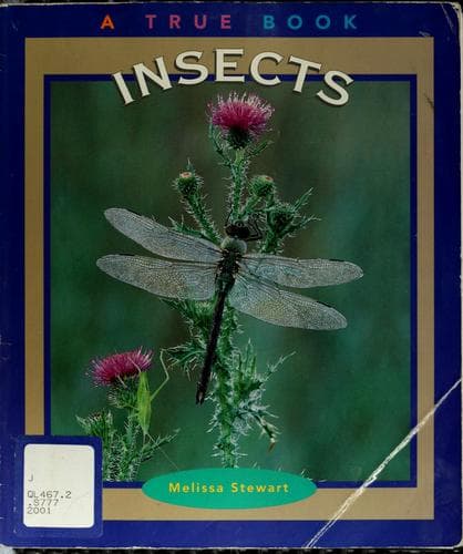 Cover image for Insects (True Books)