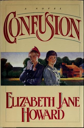 Cover image for Confusion