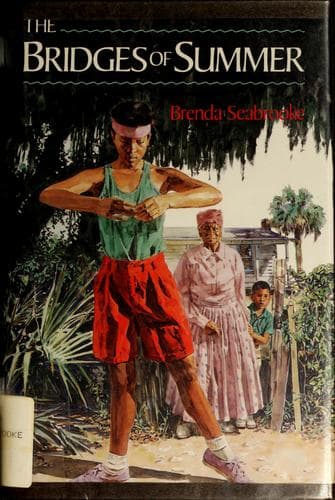 Cover image for The bridges of summer
