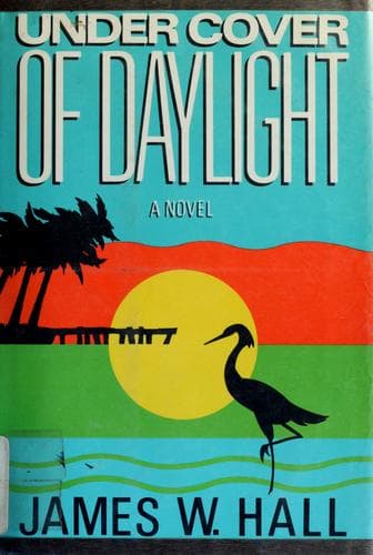 Cover image for Under Cover of Daylight