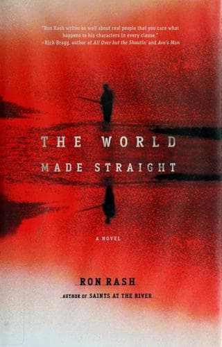 Cover image for The world made straight