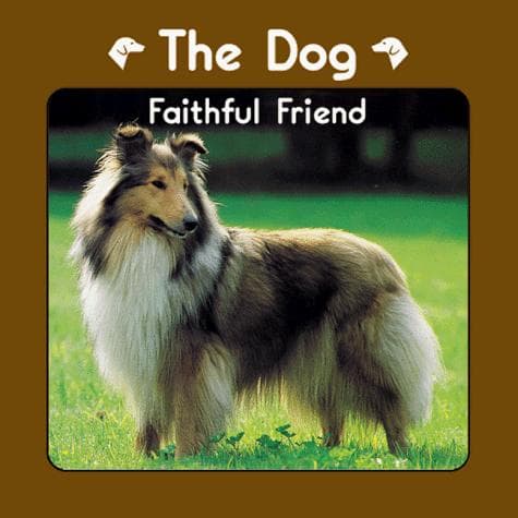 Cover image for The Dog