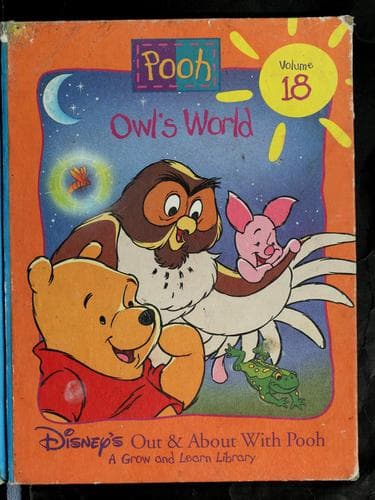 Cover image for Owl's world