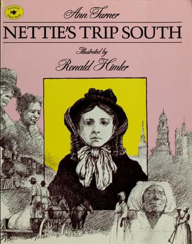Cover image for Nettie's trip South