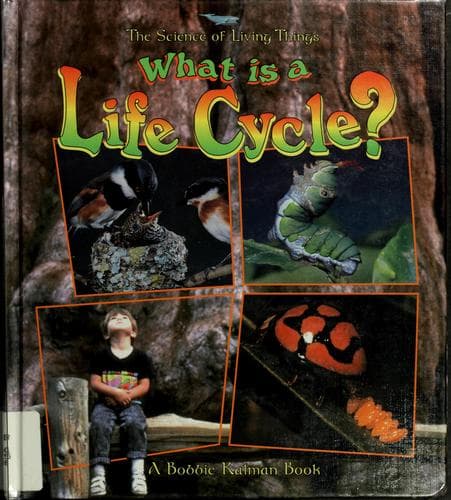 Cover image for What is a life cycle?