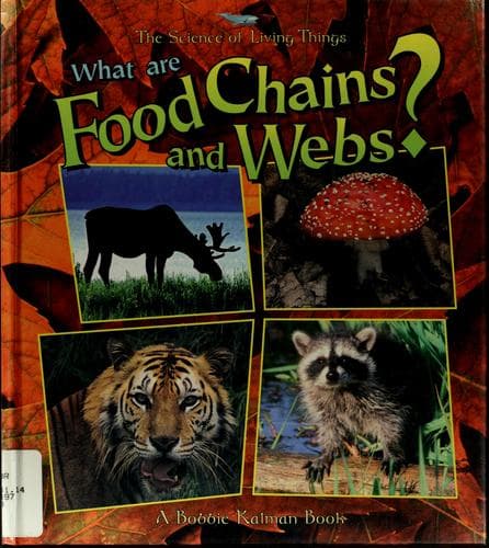 Cover image for What are food chains and webs?