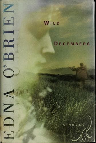 Cover image for Wild Decembers